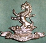 7th Dragoons Badge