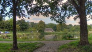 Site of Ball Grove Cotton Mill